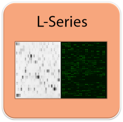 Labeling Reagent for L-Series Arrays