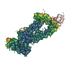 Hepatitis B Core Ag, 19 kDa Recombinant