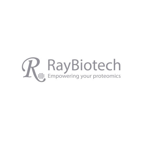 cytometric bead array how it works diagram