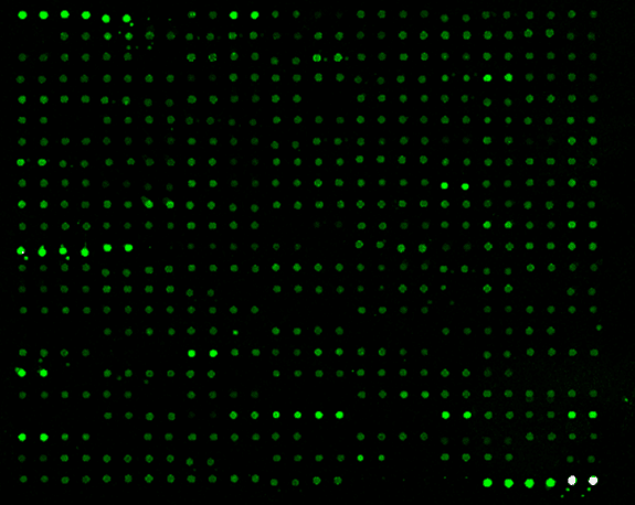 Array Scanning and Analysis