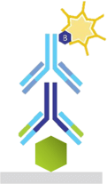 protein-array-detection protein-array-detection