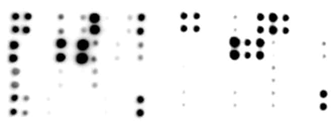 C-Series-Array-1000-Data C-Series-Array-1000-Data