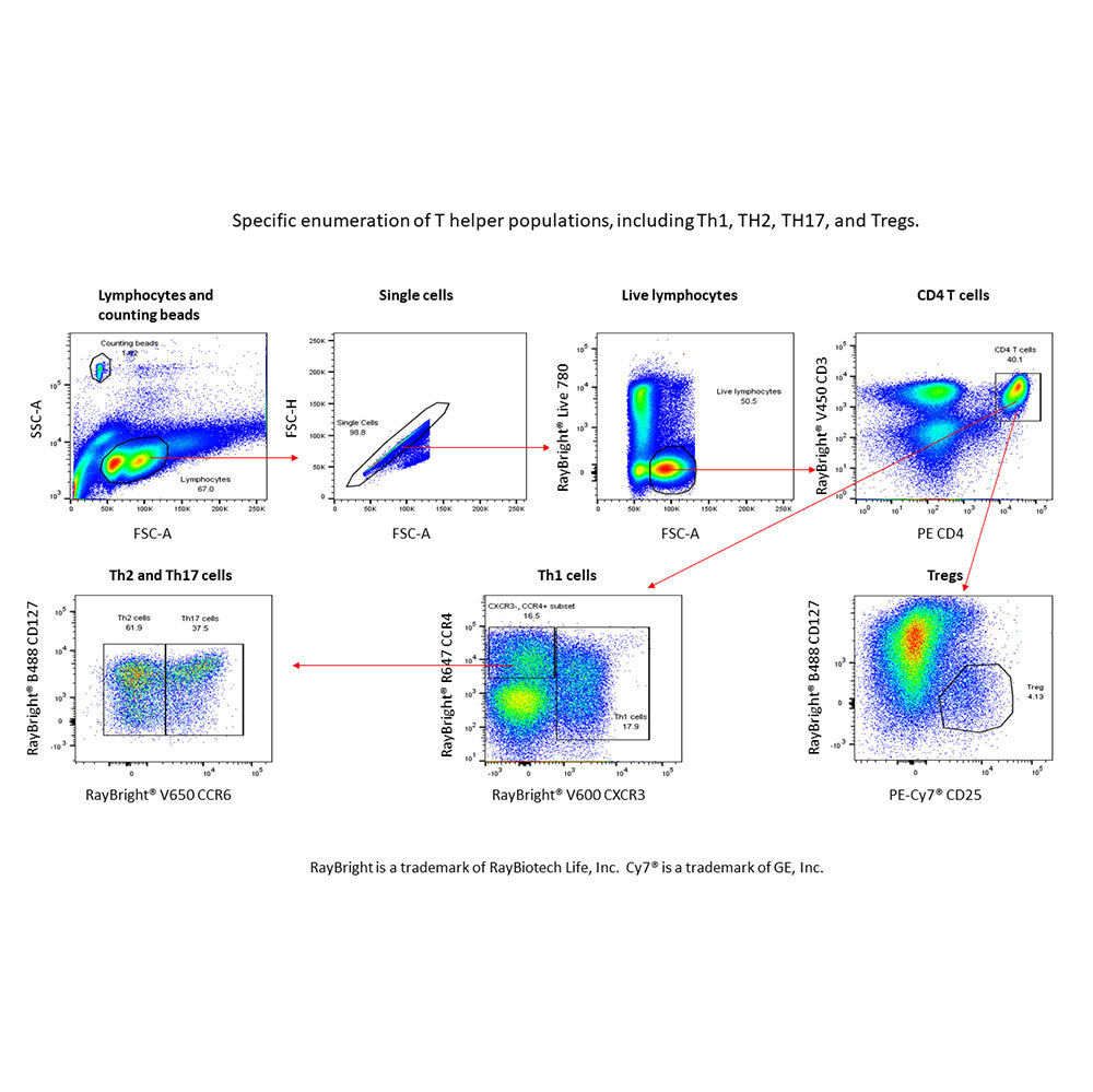 Flow-Cytometry-Service Flow-Cytometry-Service