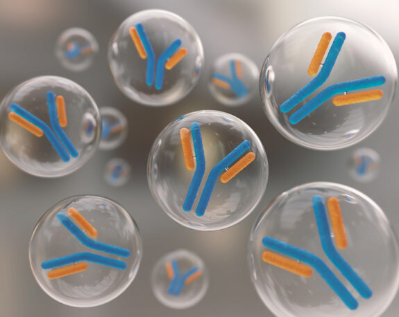 Custom Recombinant Antibody Expression Service