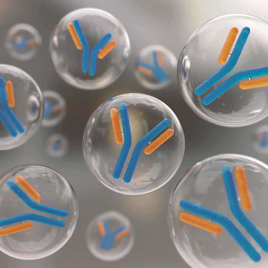 3d,Rendering,Of,Antibody,Immunoglobulin,Molecule,Background. 3d rendering of antibody Immunoglobulin molecule background.