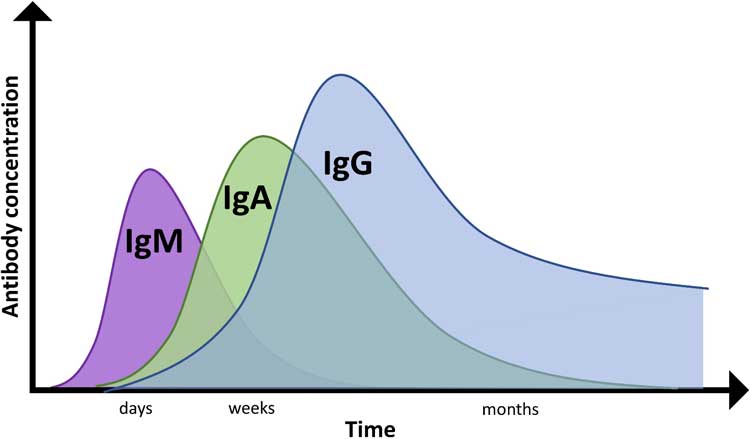 general-antibody-profile general-antibody-profile