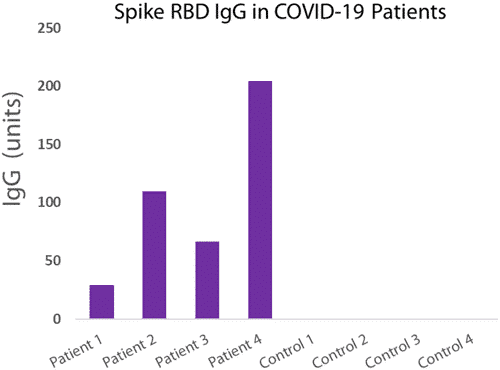 igg-indirect-elisa-detection igg-indirect-elisa-detection