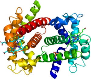 protein-molecule protein-molecule