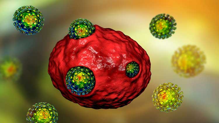 sars-cov-2-viral-entry sars-cov-2-viral-entry
