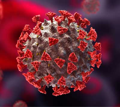 viral-particle viral-particle