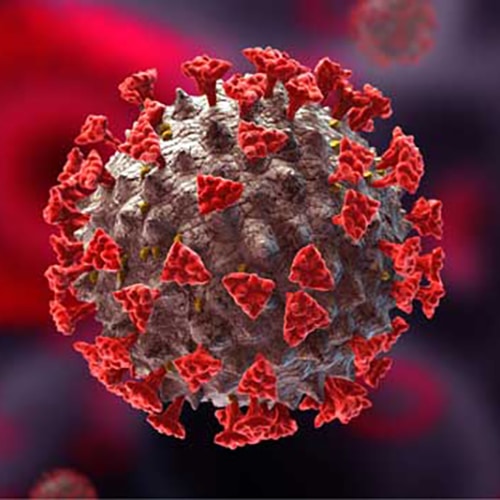 viral-particle viral-particle
