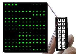 Hand-Slide-Array Hand-Slide-Array