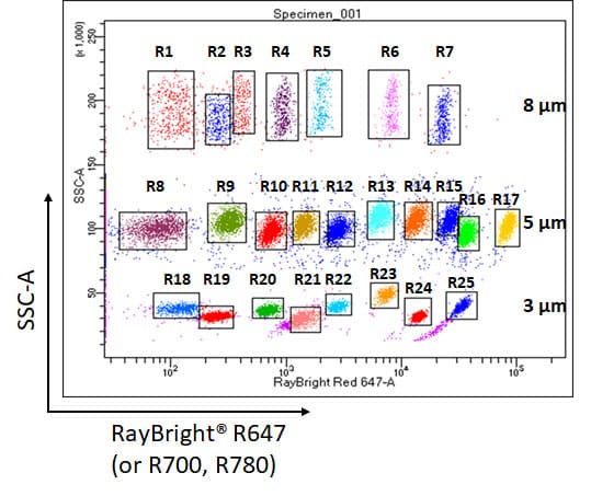 Rayplex_Bead_Scatter_Plot Cytometric Bead Array Population Graph