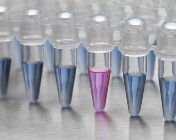 Rapid Isothermal PCR Assay Development