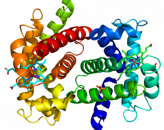 Protein Expression and Purification Services
