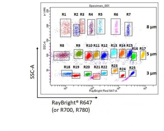 Custom RayPlex® Cytometric Bead Array
