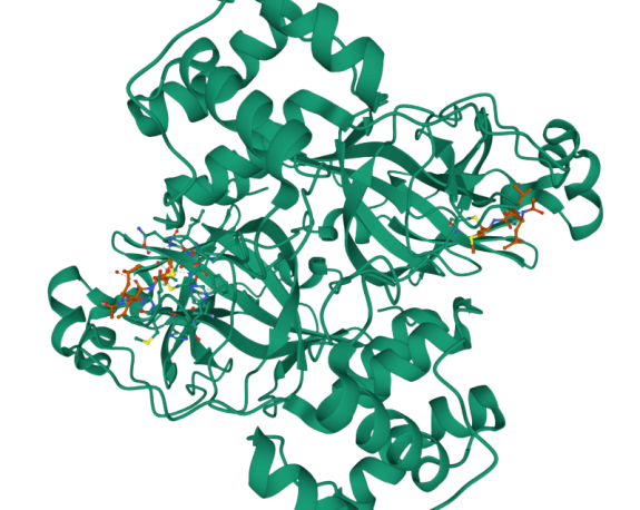 GMP Protein Production