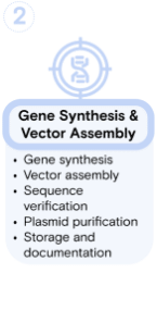 GMP Protein Workflow-2 GMP Protein Workflow-2