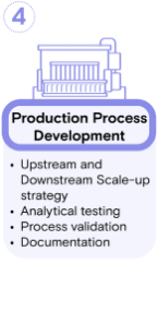 GMP Protein Workflow-4 GMP Protein Workflow-4