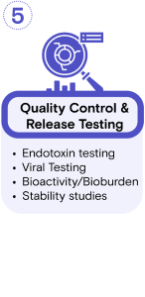 GMP Protein Workflow-5 GMP Protein Workflow-5