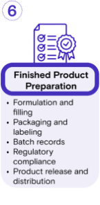 GMP Protein Workflow-6 GMP Protein Workflow-6