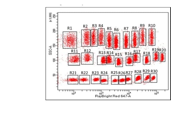 Custom RayPlex® Cytometric Bead-Protein Array