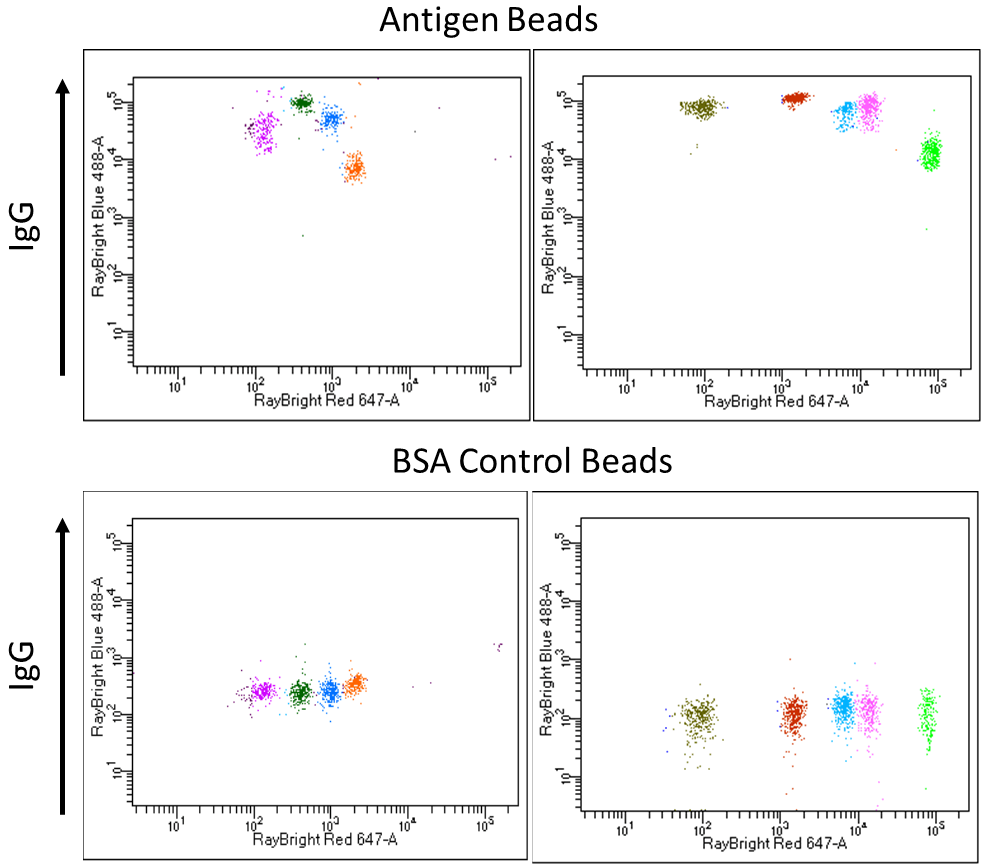 Custom-RayPlex-MFI-positivity-determination Determination of Positivity Based on MFI Ration Between Antigen Beads and Control Beads
