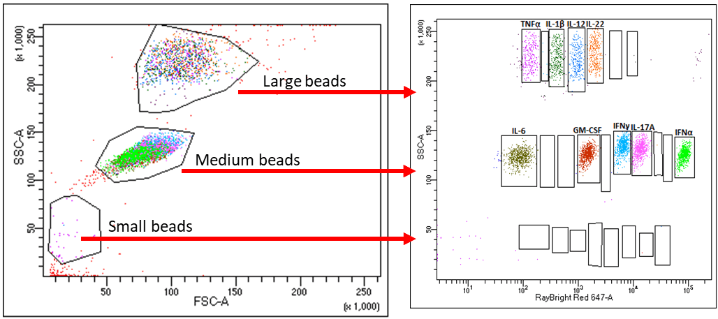 Custom-RayPlex-detection-Antibodies Multiplex Bead Array Detection of Antibodies