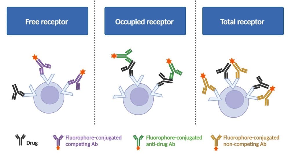 RO assay Schematic diagram of three basic RO assay format