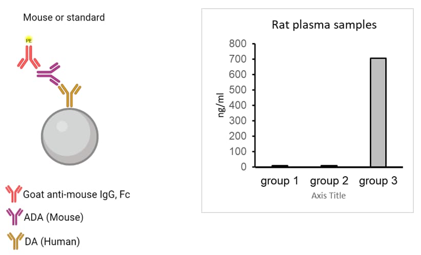 Rat ADA Case Study