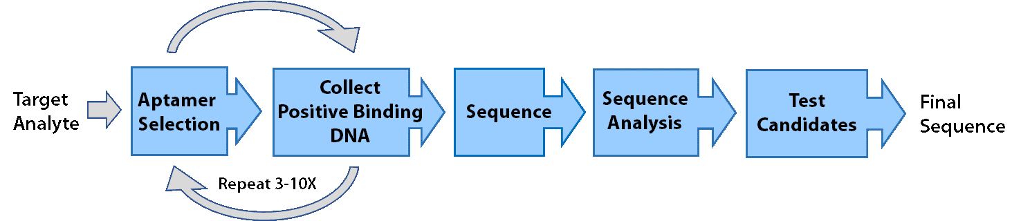 SELEX process